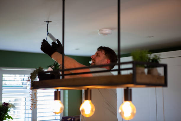 Best Electrician for Home Renovation  in Elkton, MD